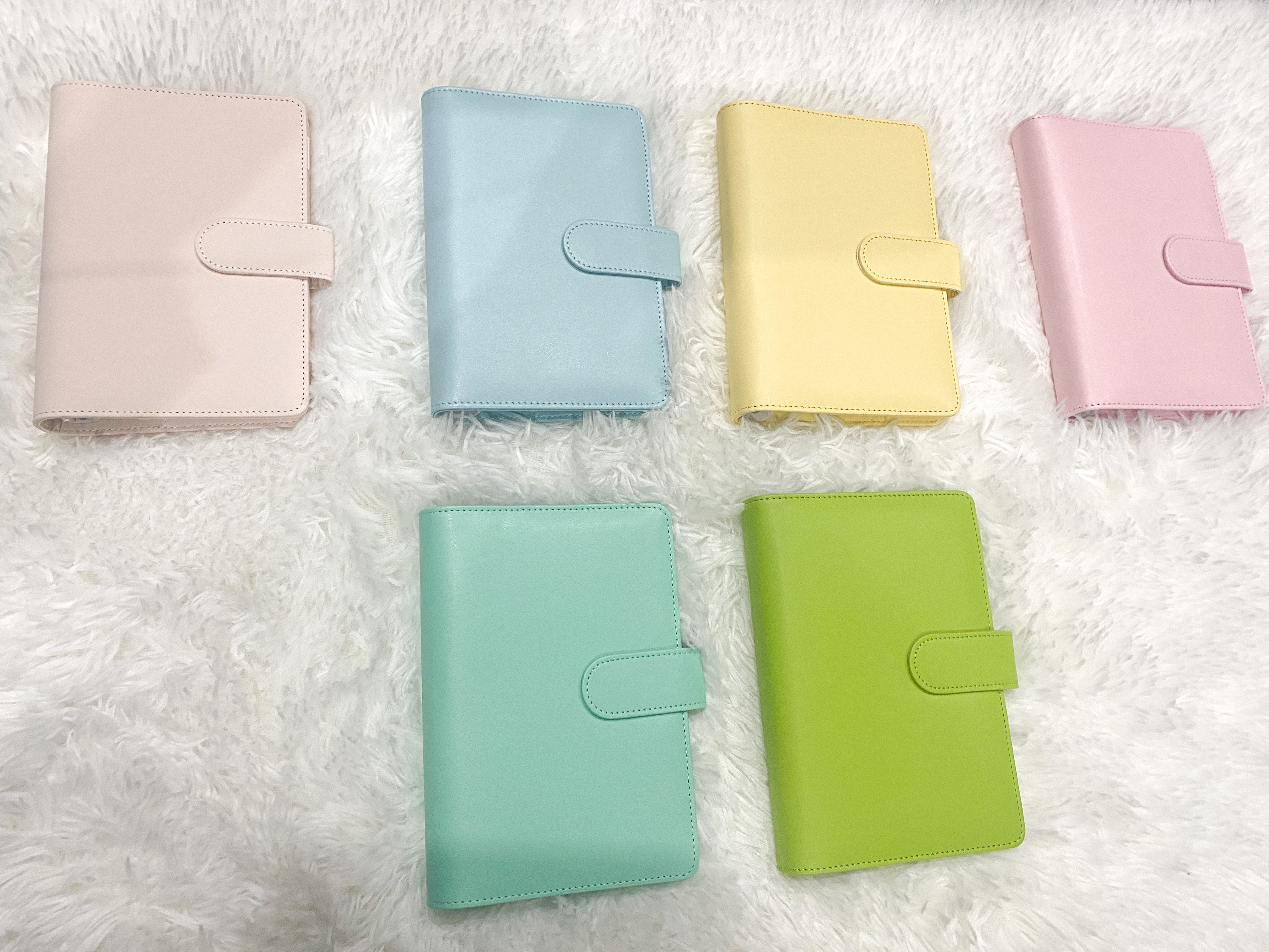 Custom Budget Binders