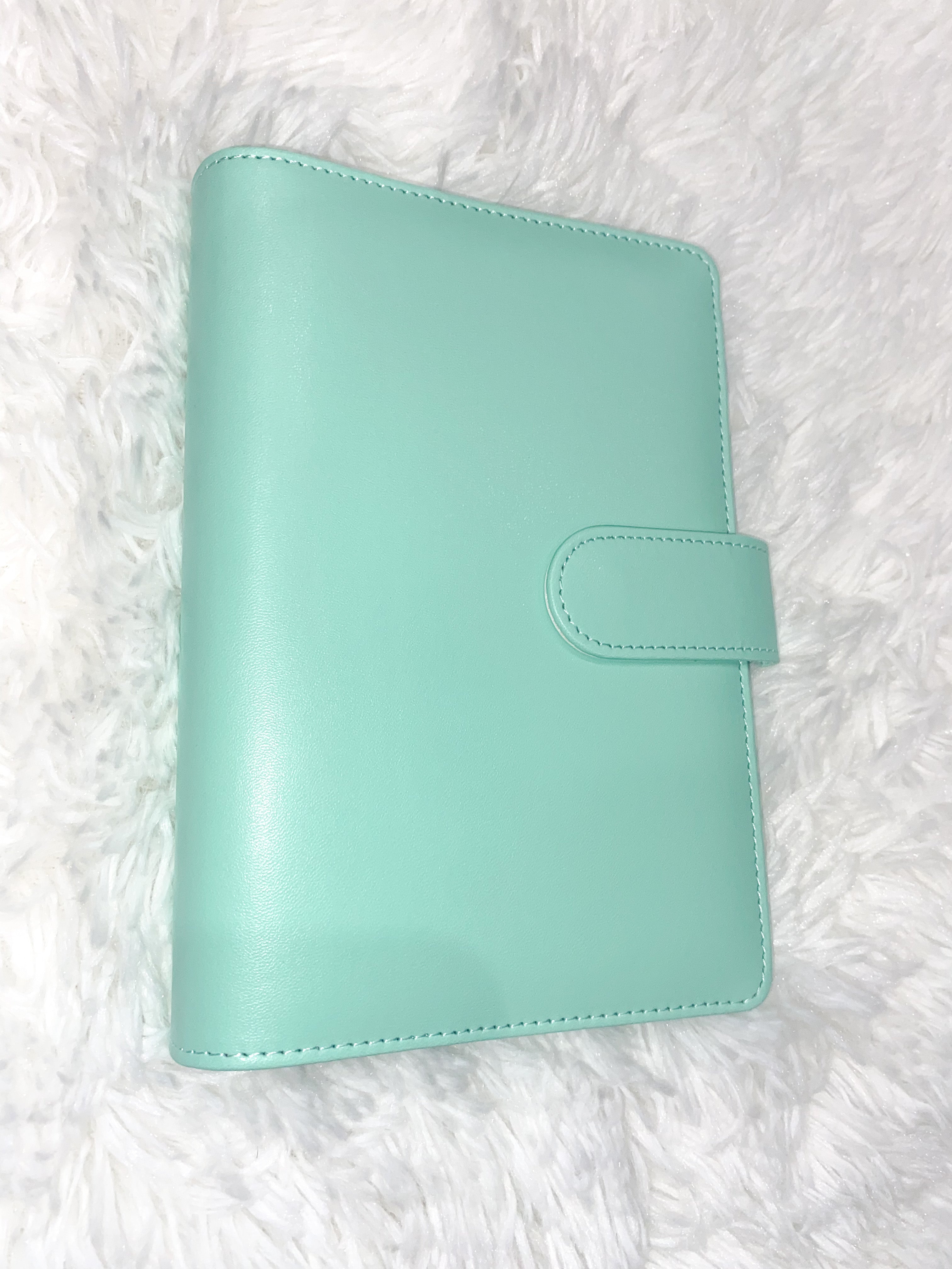 Custom Budget Binders